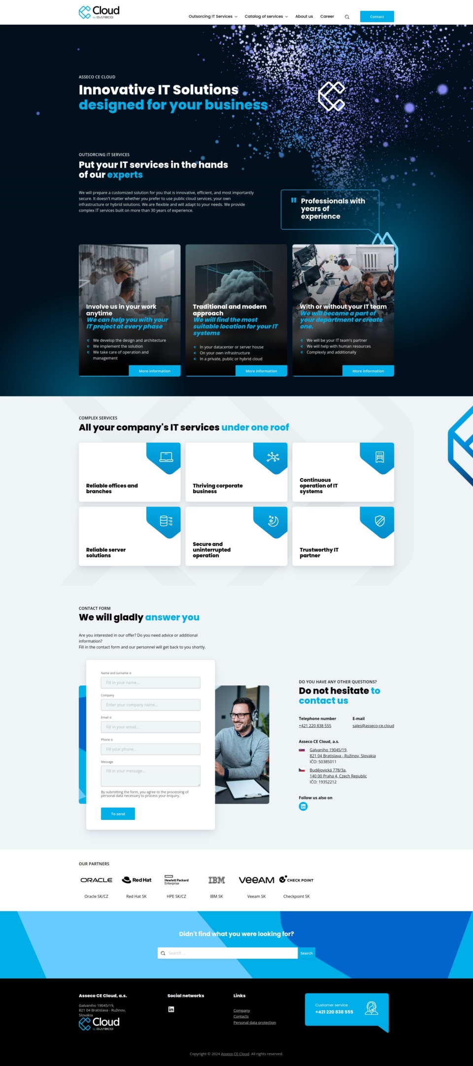 International Software Company Web Development with WordPress